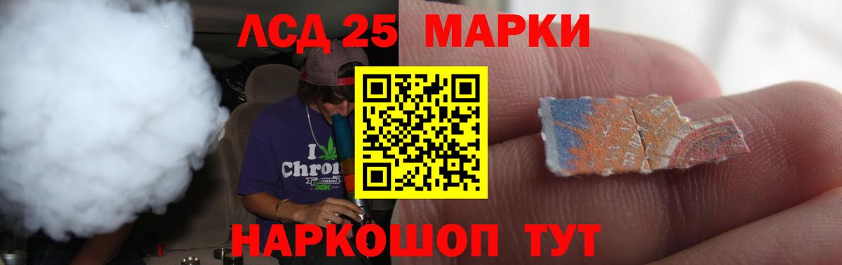 Псилоцибиновые грибы Алейск
