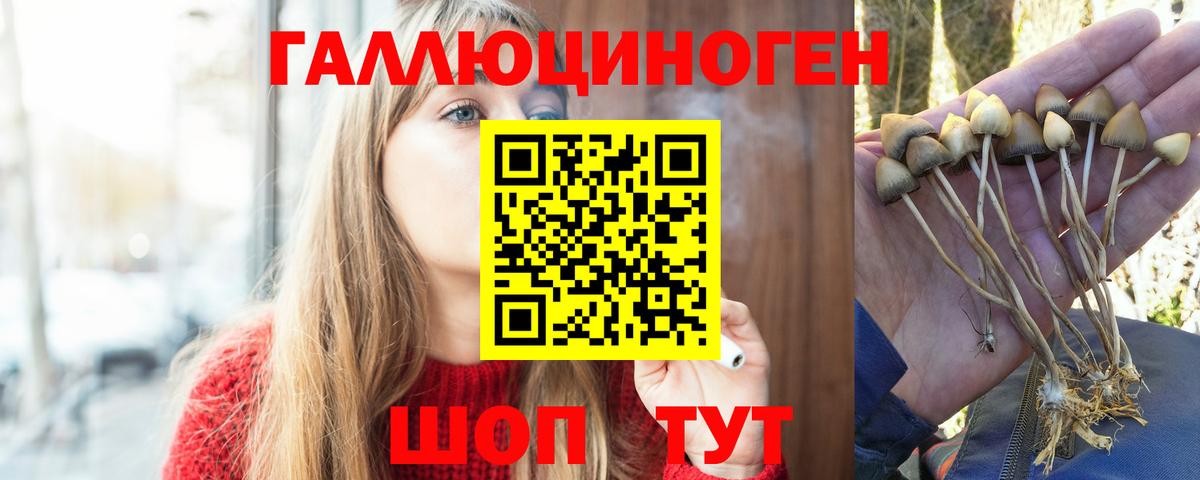 Псилоцибиновые грибы мицелий  Вход с VPN  Алейск  где купить наркоту  Галлюциногенные грибы MAGIC MUSHROOMS 